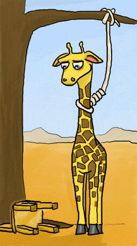 tumblr_l8dy6smFYd1qd2w8jo1_400.gif