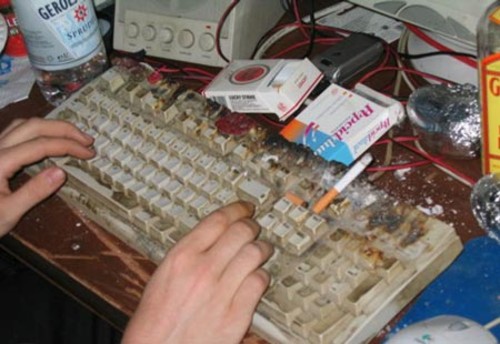 apnabrowz1729905.jpg
