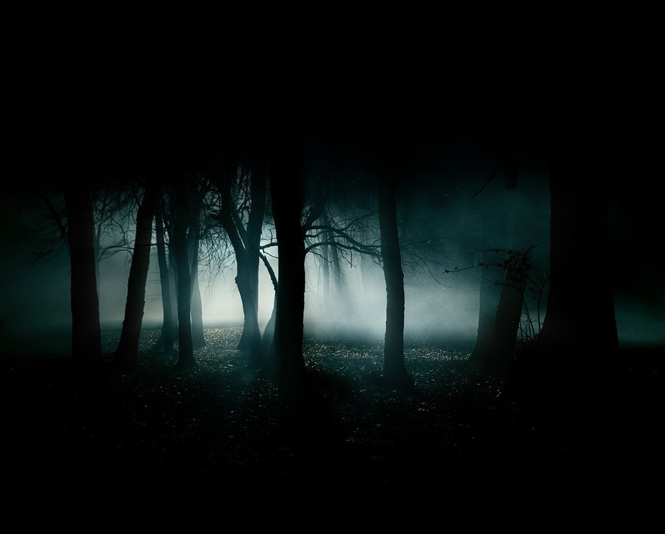 dark_forest_night_image_31002.jpg