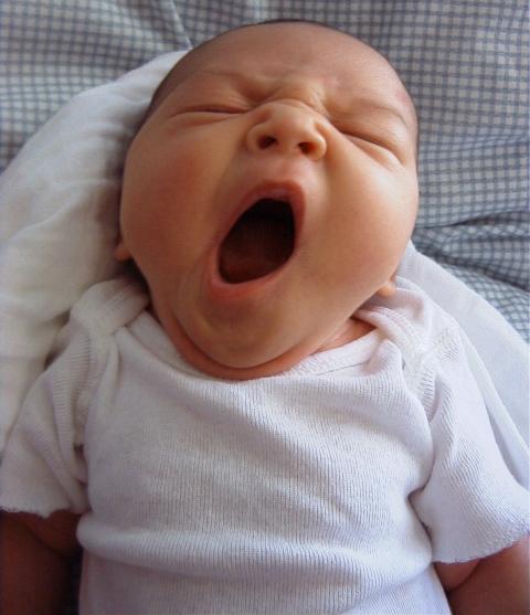 erica_yawn_200305211.jpg