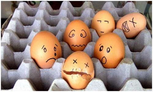 Funny_and_Clever_Egg_Photography_9.JPG