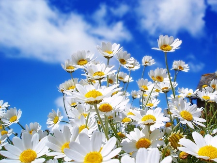 HAPPY_SPRING.jpg