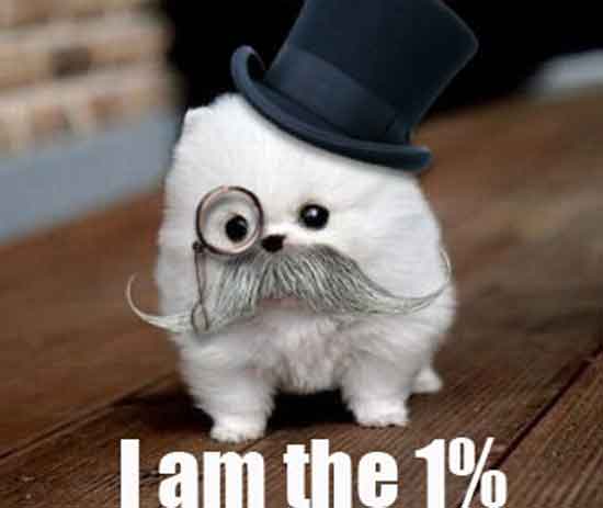 I_Am_The.jpg