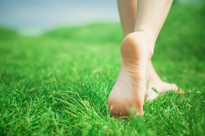 feet_in_grass_op_720x480.jpg