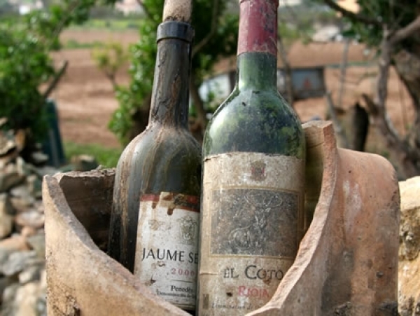 old_wine_bottles.jpg