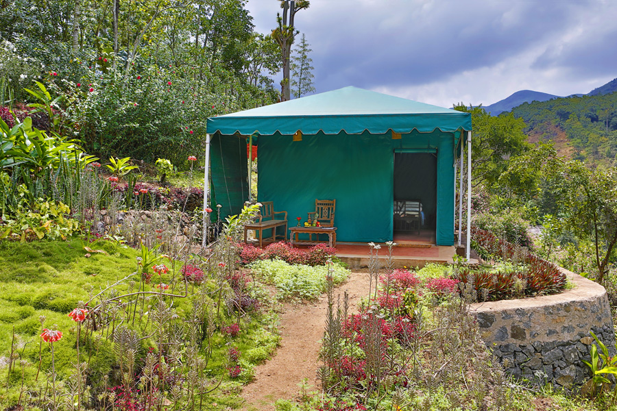 Tent_House2_out.jpg