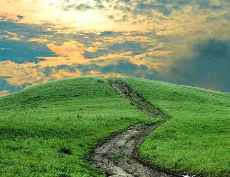 path_end_of_road_770.jpg