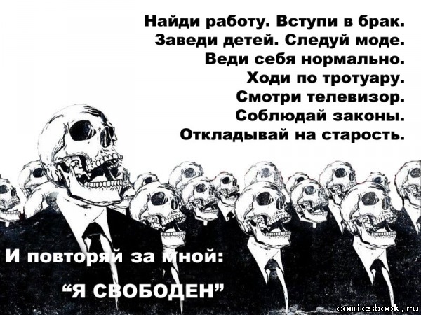 ____________________________92649.jpg