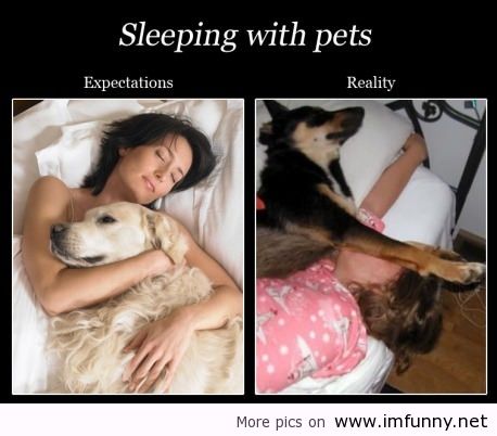 funny_quotes_quotes_funny_quotes_pictures_funny_quotes_and_sayings_funny_jokes_Favim.com_555876.jpg