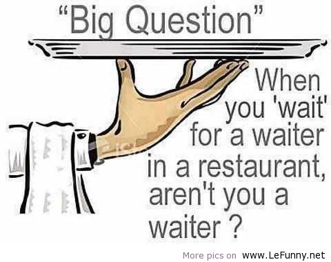 lefunny.net_funny_jokes_quotes_animals_pictures_Favim.com_568848.jpg