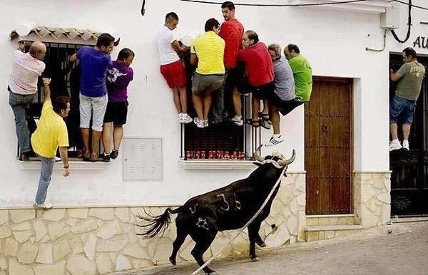 Really_Funny_World_Pictures_4.jpg