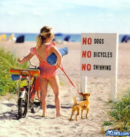 world_funny_picture_111.jpg