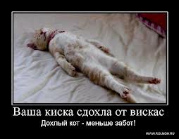 images.jpg