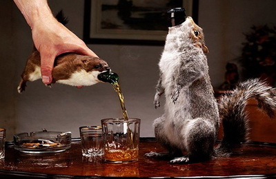 pivo_sorty.7jpg11.jpg