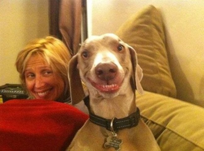 1361911464_1360751481_weirdest_people_and_pet_photos_ever_42.jpg