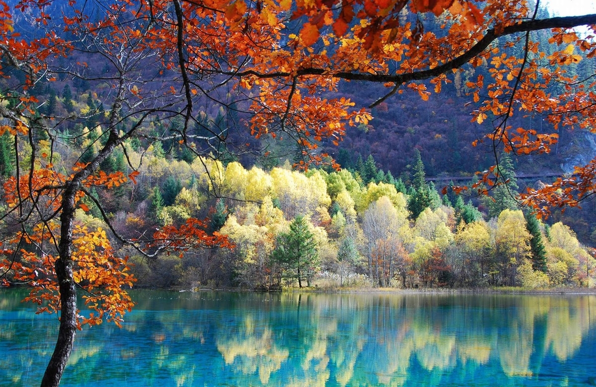 1366x768_summer_season_wallpaper_nature.jpg