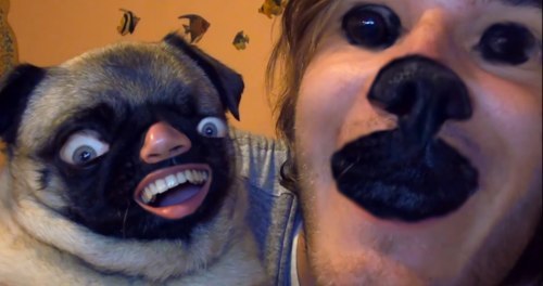 _________________faceswap____________________279281.jpeg