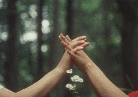 tumblr_md36gmpefi1rd1um0o1_500.gif