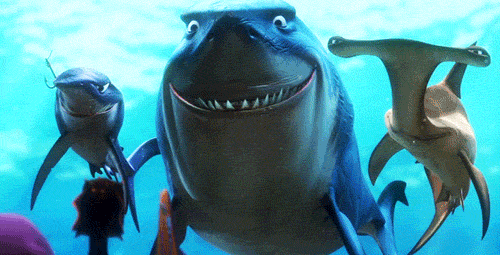cute_fish_gifs_nemo_sharks_Favim.com_236551.gif
