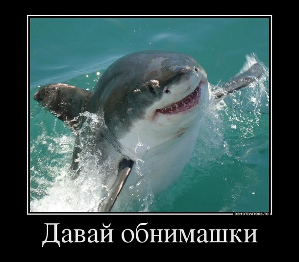 akula_obnimi.jpg