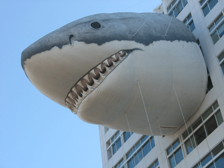 20060719_070733_shark_three.gif