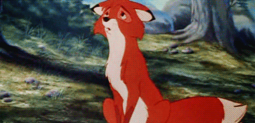 tumblr_ljv62baQY31qcn85i.gif