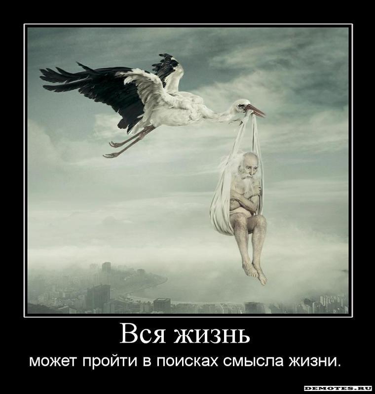 1274496973_1vsya_zhizn.jpeg