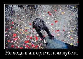 images_3_.jpg