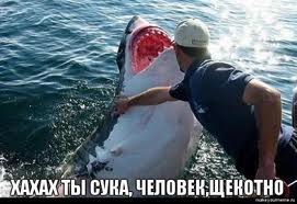 images_5_.jpg