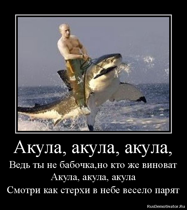 2012090708545184.png