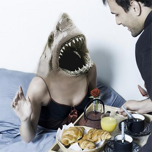 shark_breakfast1.jpg