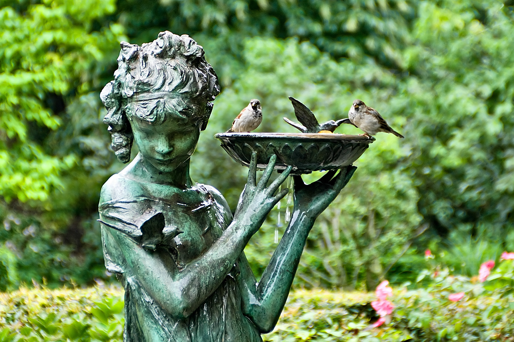 birds_in_the_secret_garden.jpg