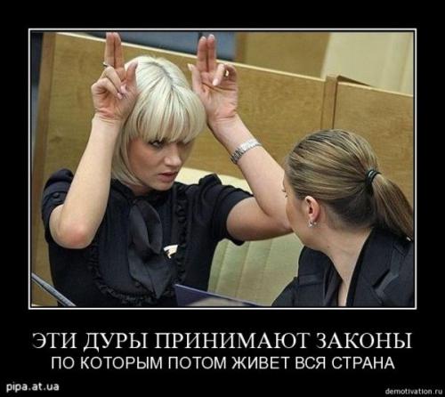 2954ddeebe.jpg