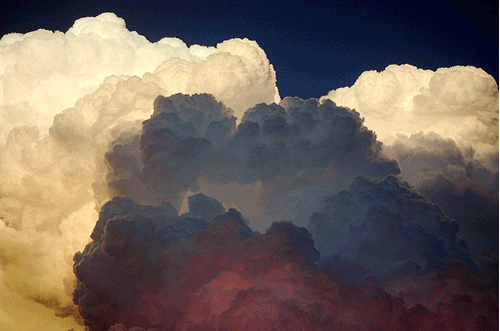 tumblr_m6g21p7tFX1rq3i7so1_500.gif