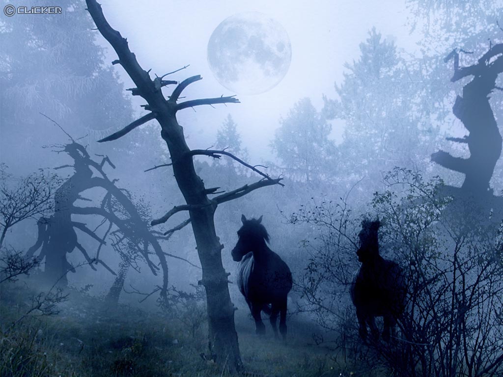 Chevaux_dans_atmosphere_gothique._Horse_in_gothic_landscape..jpg
