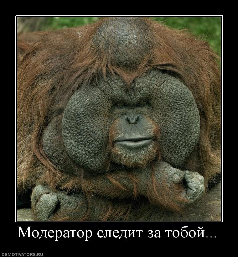 Открытка я слежу за тобой, марта