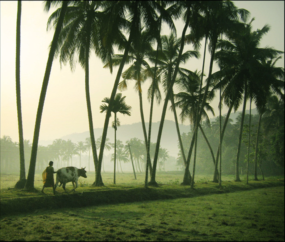 Village_Life_in_Kerala.jpg