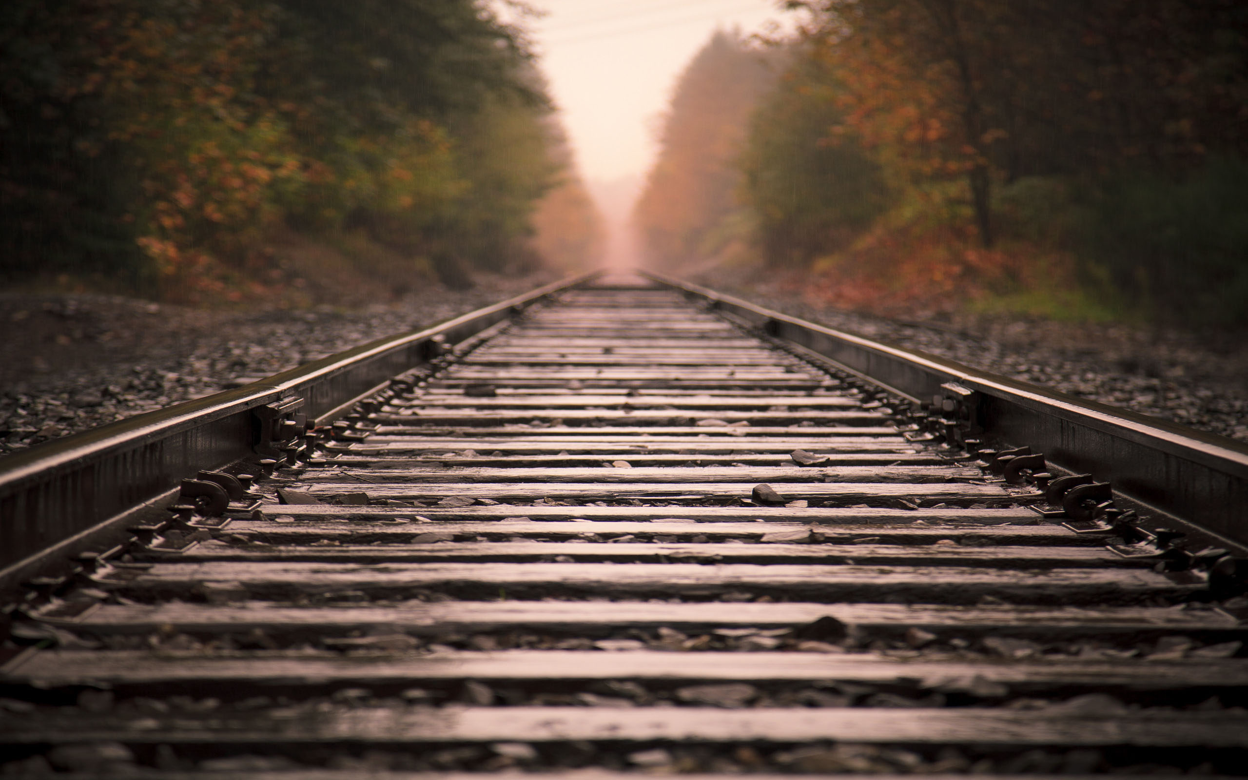 Travel_Mac_Wallpapers_Long_Road_To_Vladivostok_562817842.jpeg