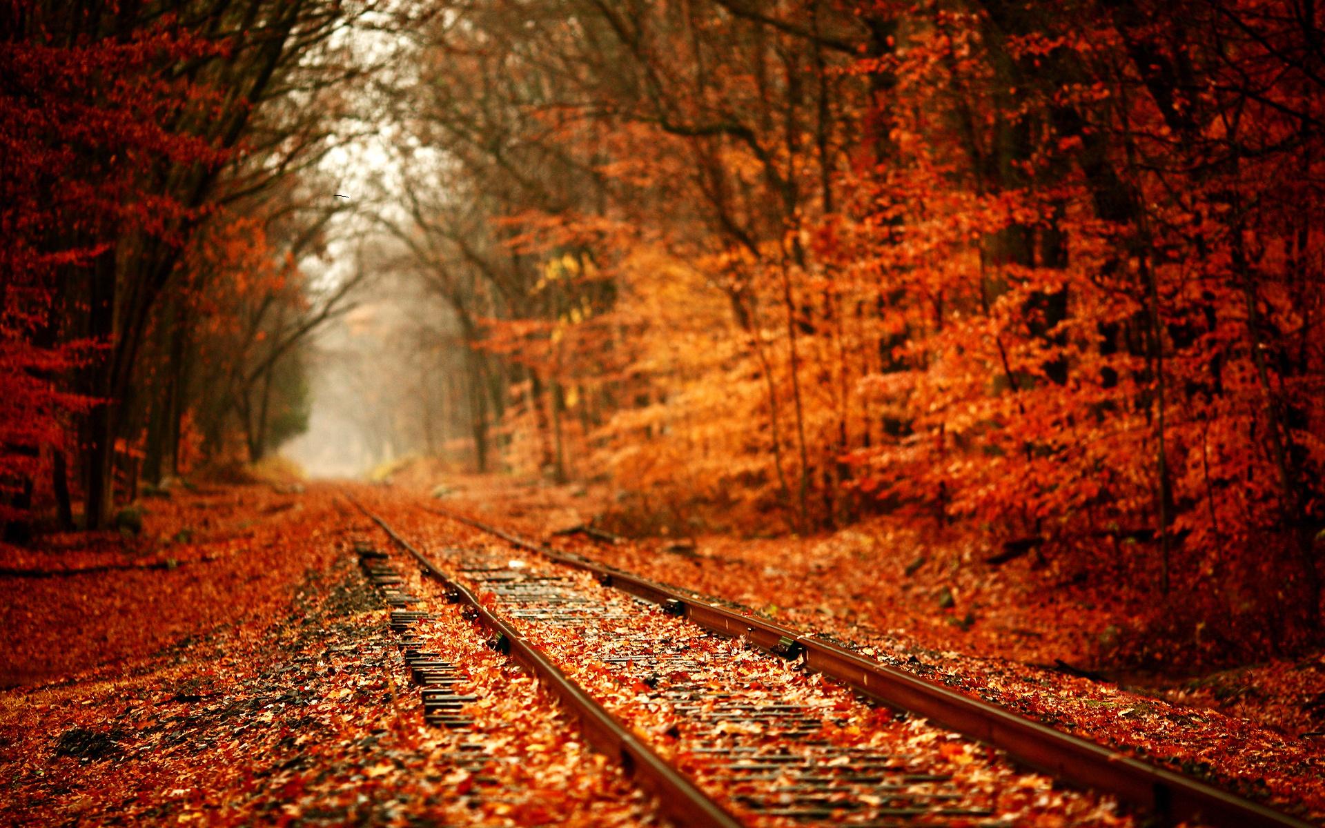 railway_autumn.jpg