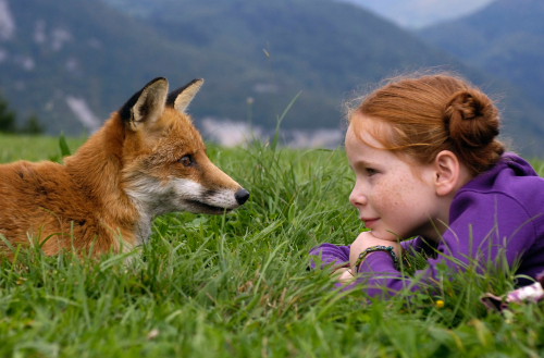 the_fox_and_the_child_1.jpg