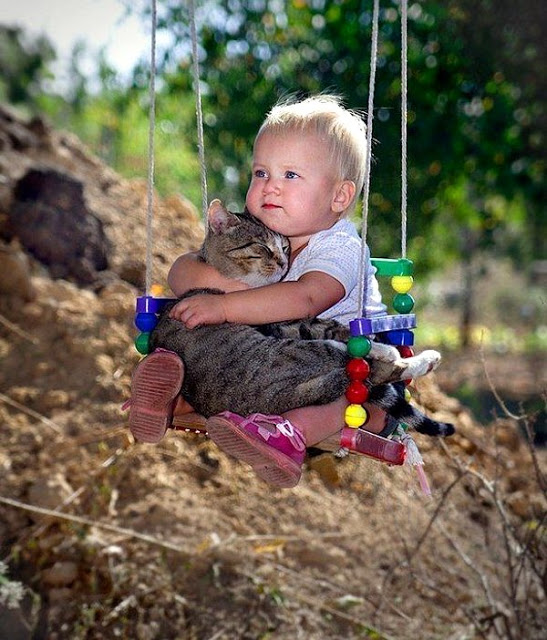 cute_baby_holding_a_cat_on_a_swing___1_.jpg