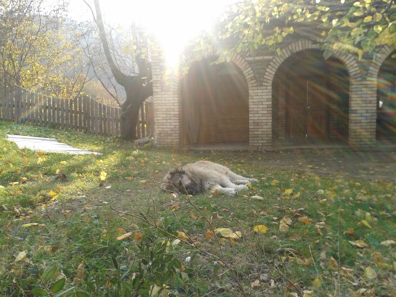 rsz_20141117_154901.jpg