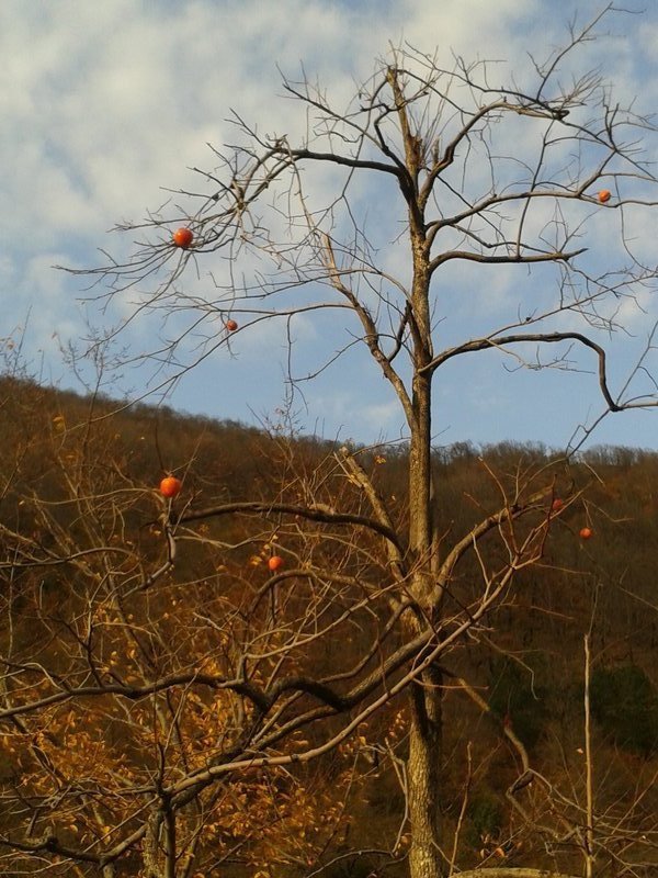 rsz_1rsz_20141117_160007.jpg