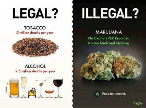 alcohol_vs_marijuana__1_.jpg