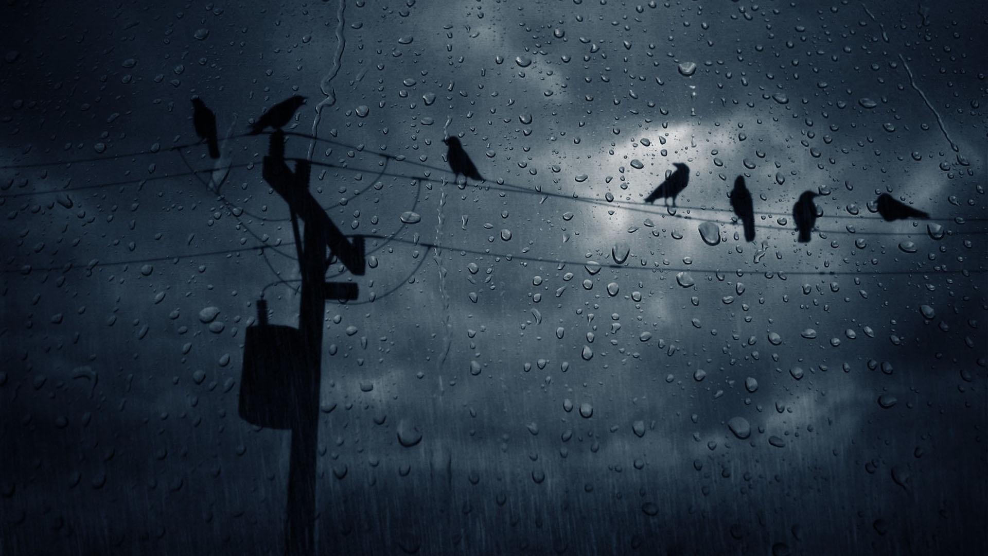 rain_wallpaper_3.jpg