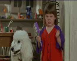giphy__1_.gif