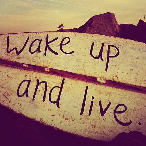 tumblr_m5q943ty5T1rx7iheo1_500_2641.jpg