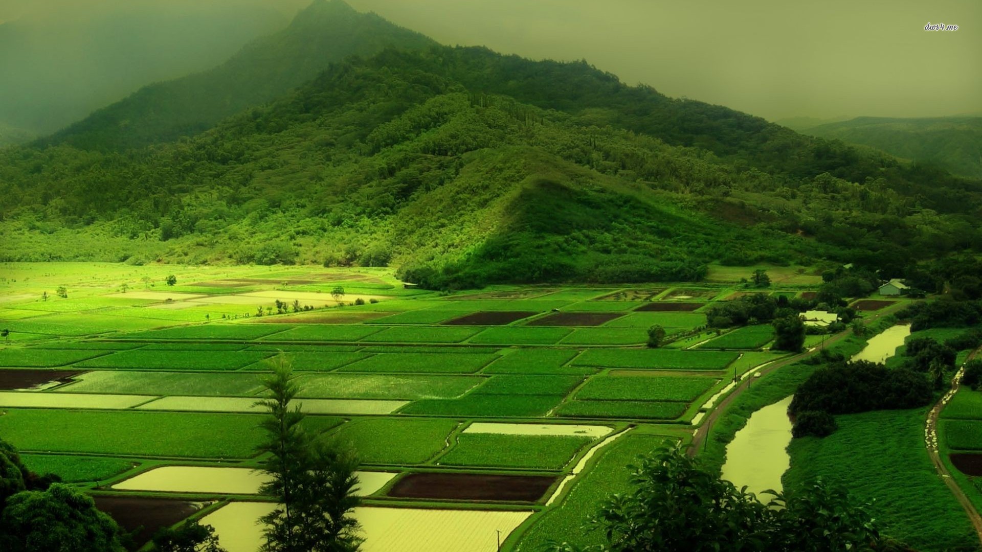 14006_green_fields_1920x1080_nature_wallpaper.jpg