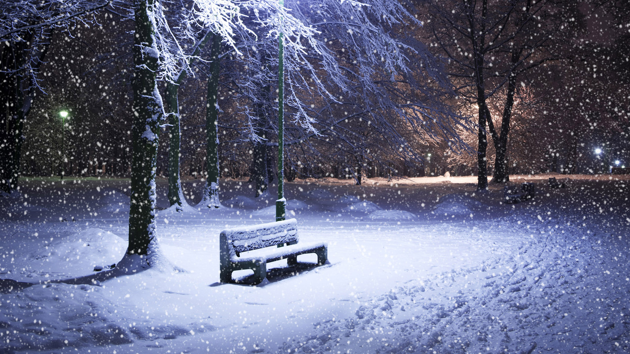 winter_01.jpg
