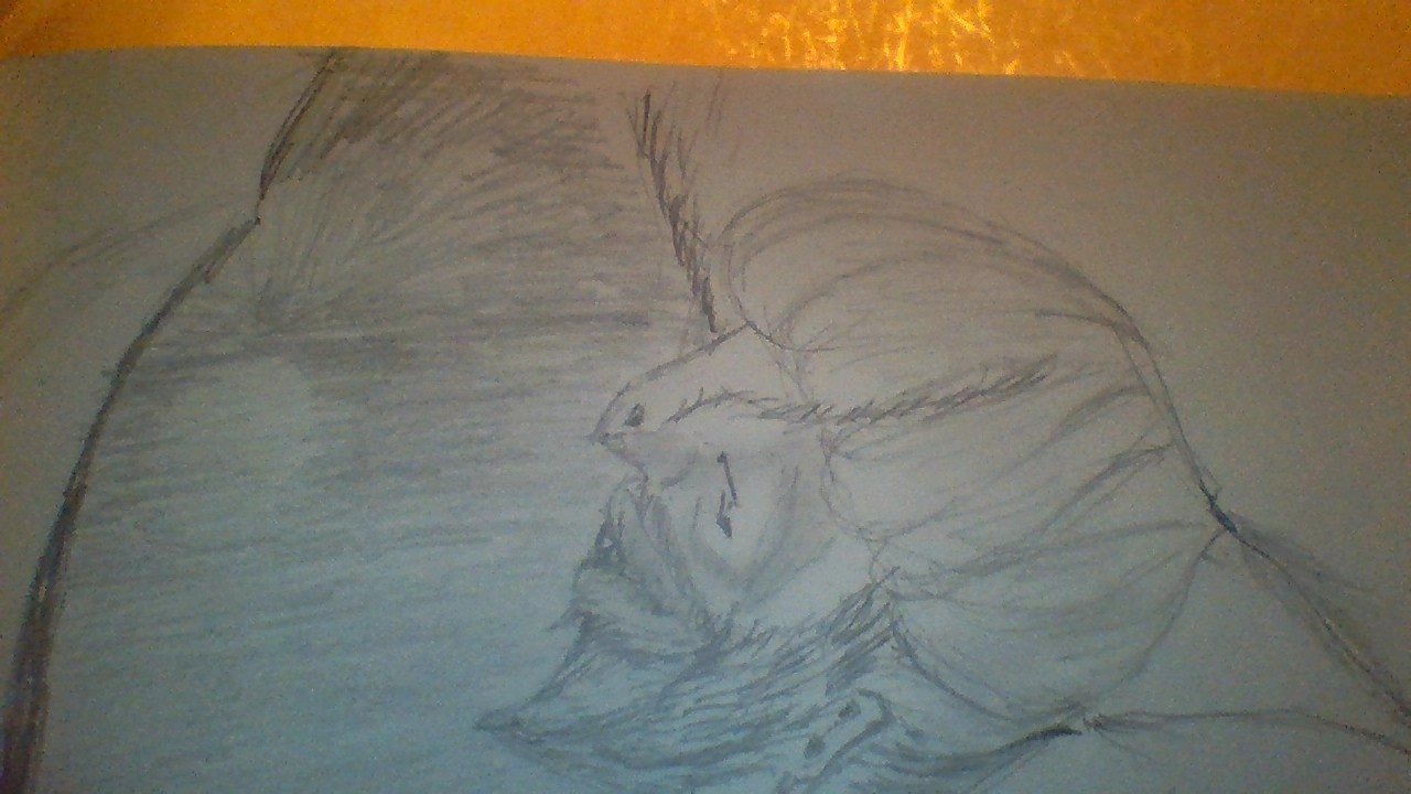 picture9244.jpg